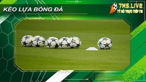 Kèo lựa là gì? Kèo lựa ăn bao nhiều khi cá cược bóng đá