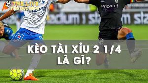 Kèo tài xỉu 2 1/4 là gì? Cách tính tiền và cách chơi kèo hiệu quả