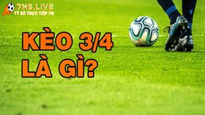 Kèo tài xỉu 3/4 là gì? Cách đánh kèo tài xỉu 3/4 chi tiết nhất