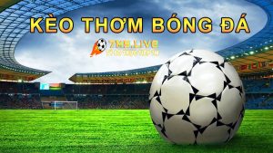 Tổng hợp những chuyên trang cung cấp keo thom dem nay