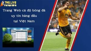 Tổng hợp các trang web cá cược bóng đá uy tín nhất hiện tại